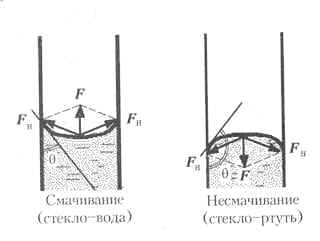 Высота капиллярного поднятия воды в бетоне