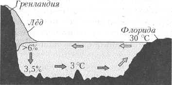 Морские течения