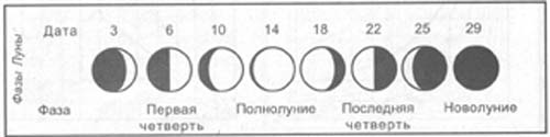 Назовите фазы луны используя рисунок 116