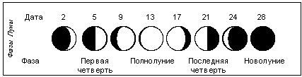 Фазы Луны