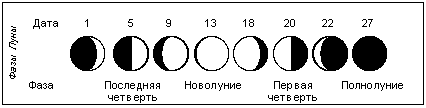 Фазы Луны