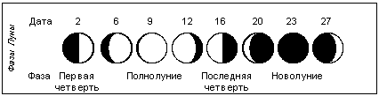 Фазы Луны