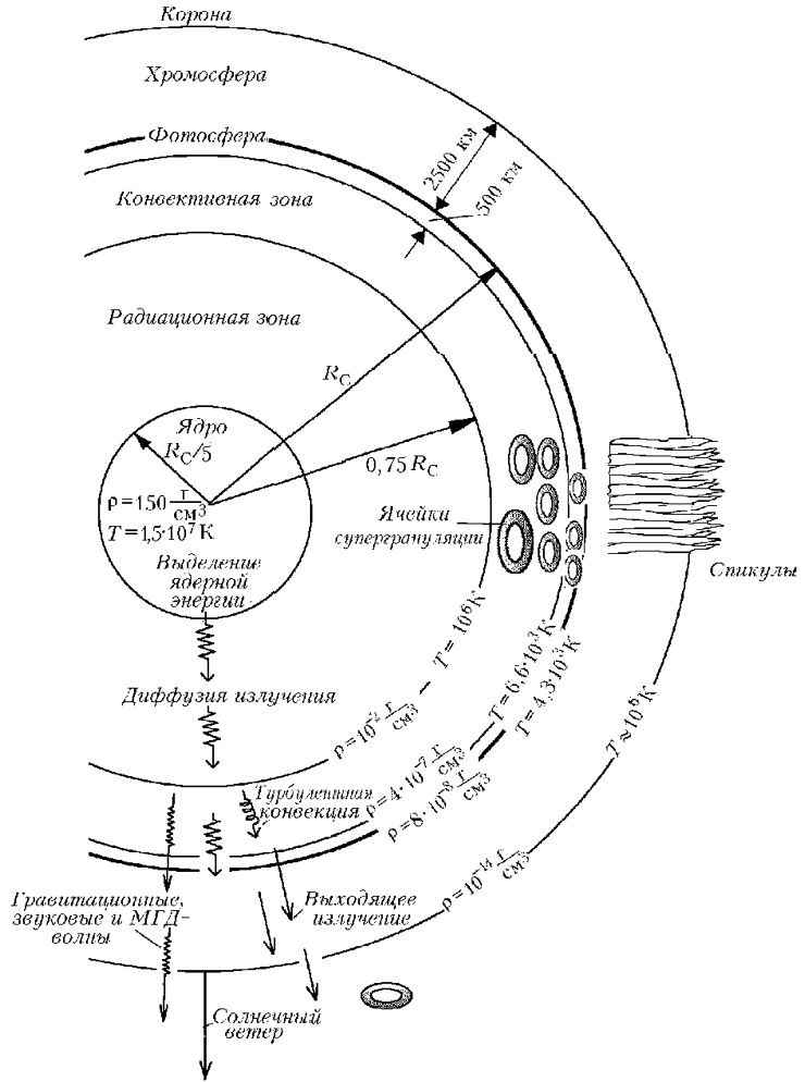 Строение Солнца согласно Стандартной модели