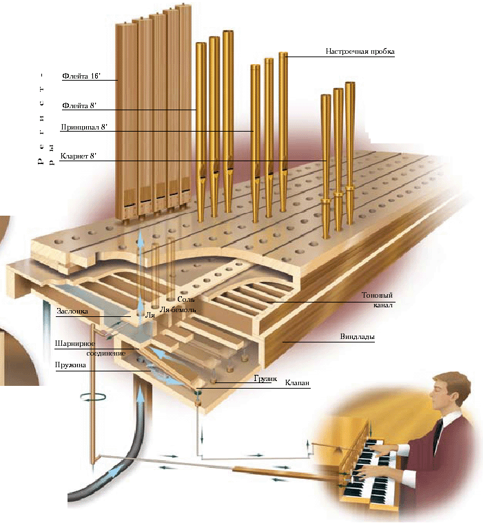 Схемы музыкальных инструментов. Строение органа музыкального. Трубы органа. Устройство органа музыкального инструмента. Механизм органа.