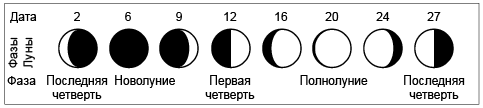 Фазы Луны нумерация. Восемь фаз Луны. 8 Фаз Луны рисунок. Фазы Луны чертеж.
