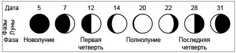 Таблица название фазы вид Луны угол фазы. Фазы Луны обозначения. Таблица лунных фаз по астрономии. Фазы Луны схема фаз.