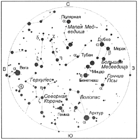 Полярная звезда на карте звездного неба Северного полушария. Карта звёздного неба Северное полушарие большая Медведица. Созвездия летнего неба Северного полушария. Карта звёздного неба созвездия Полярная звезда. Каким номером на схеме обозначена полярная тельцы