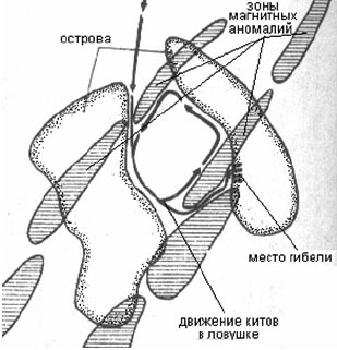 рис.1