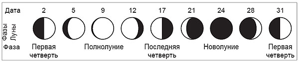 Фазы луны в картинках для детей