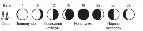 рис.7