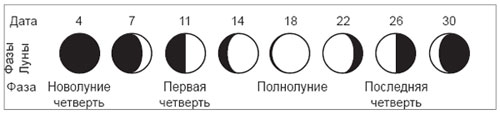 рис.7