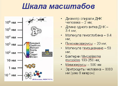 Беляева Т. | Что такое «нано»? | Журнал «Физика» № 22 за 2009 год