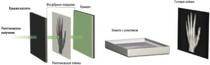 Пластина пленка покрытая люминофором для преобразования невидимого рентгеновского изображения