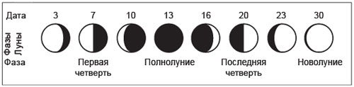 рис.7