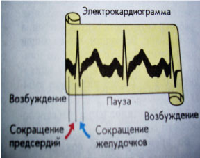 рис.2